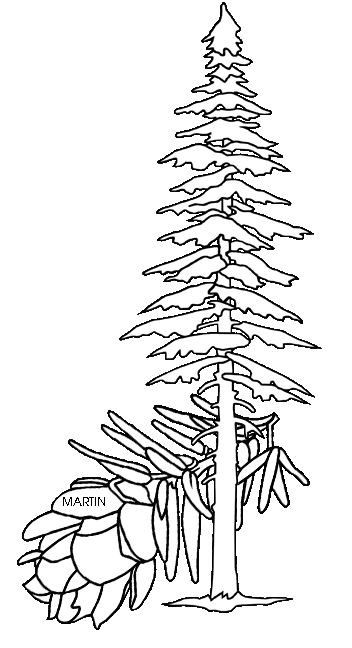 United clip art by phillip martin state tree