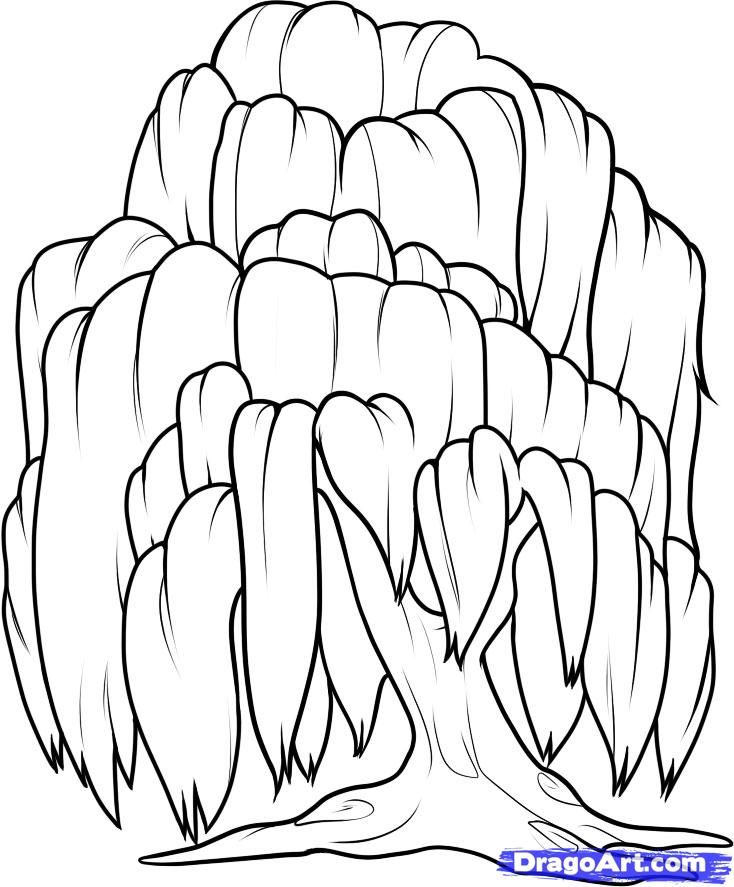 How to draw a willow step tree drawing weeping willow willow tree