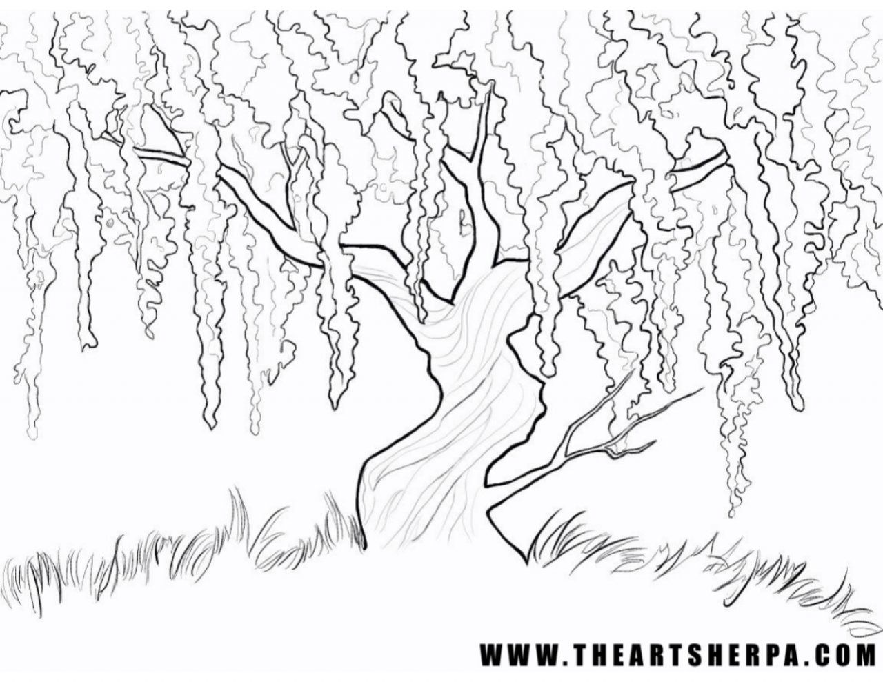 Wisteria willow tree q tip the art sherpa tree drawing tree drawings pencil