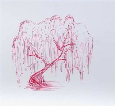 How to draw a wheeping willow tree