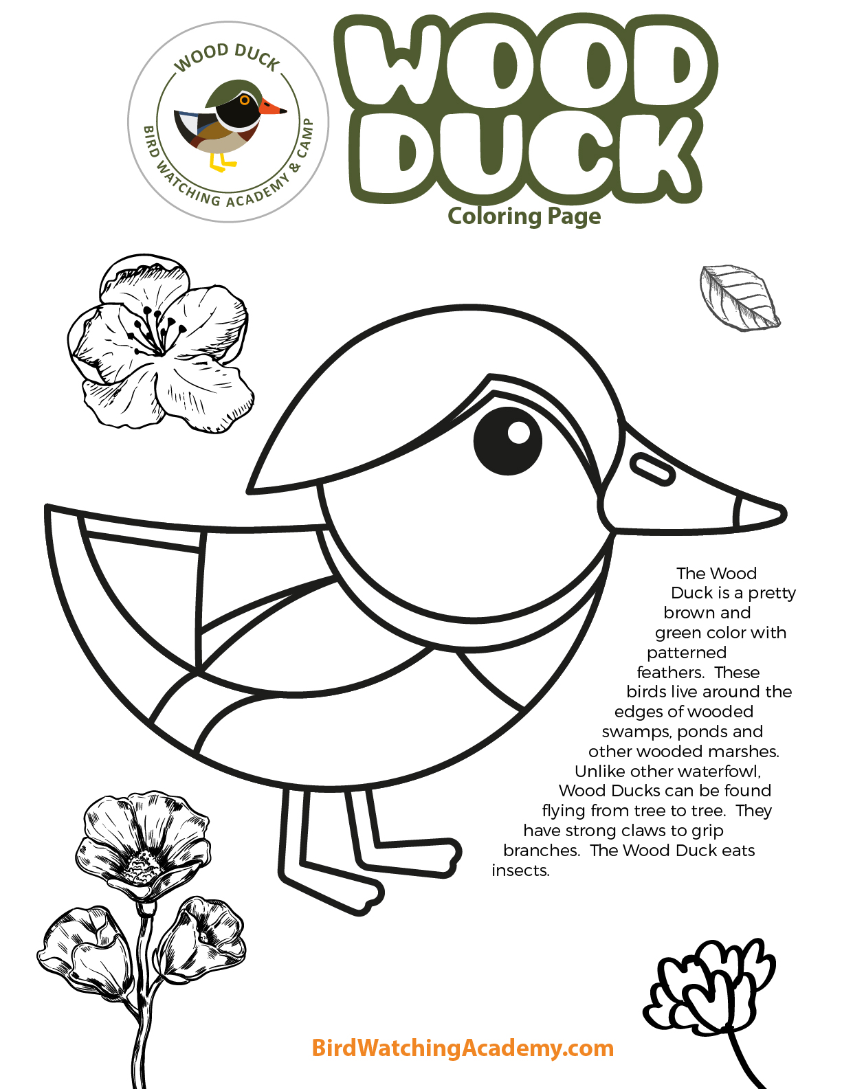 Wood duck coloring page