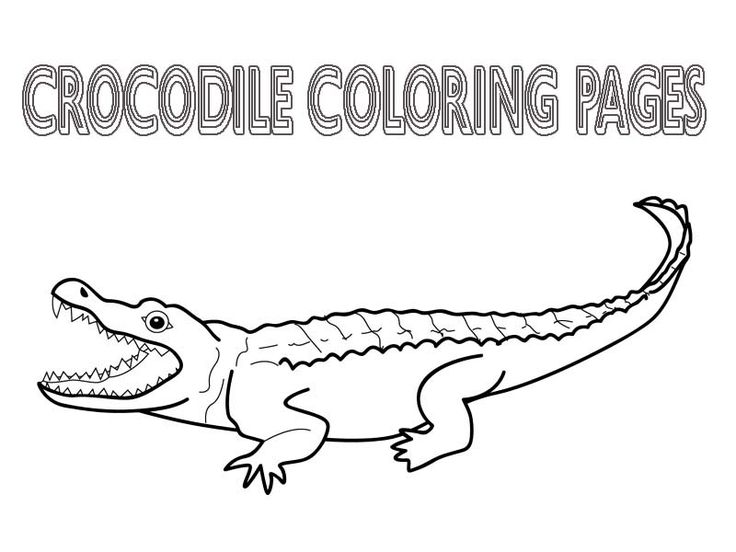 Free printable crocodile coloring pages for kids coloring pages animal coloring pages coloring pages for kids