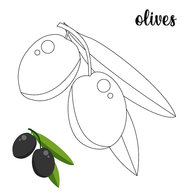 Premium vector coloring page olives coloring page
