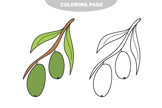 Premium vector simple coloring page coloring book for children with olives
