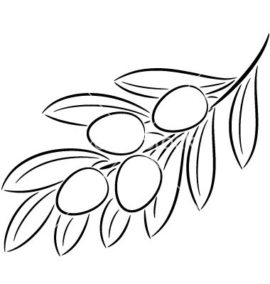 Olive branch vector image on vectorstock olive branch branch vector flower drawing