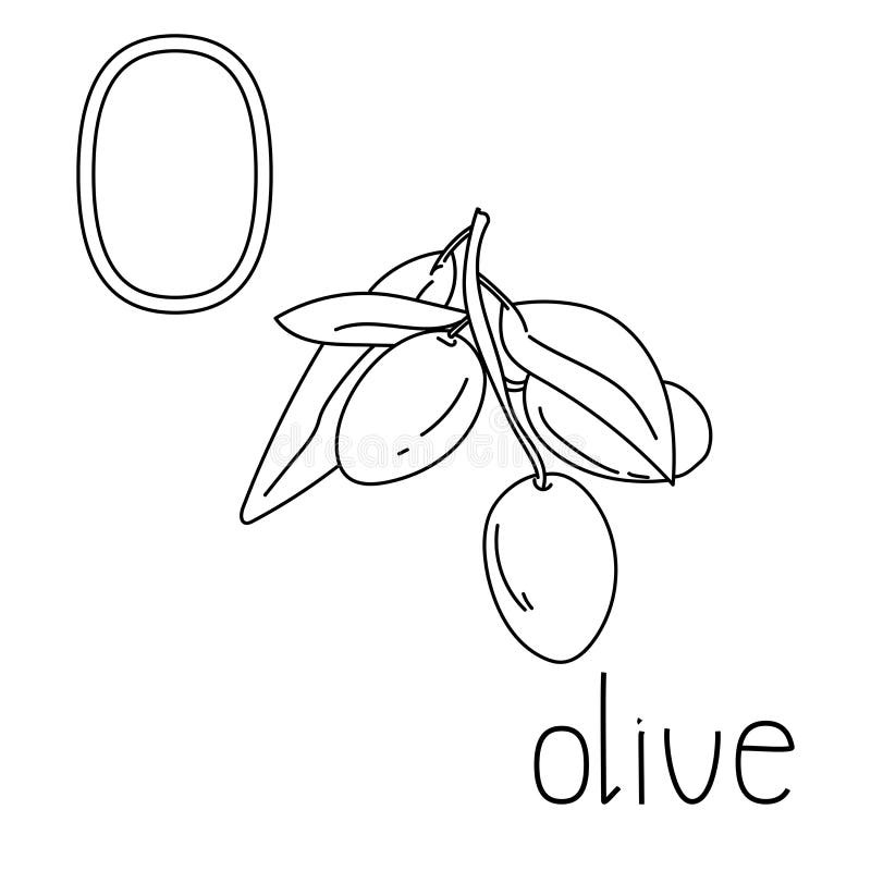 Olive leaf coloring stock illustrations â olive leaf coloring stock illustrations vectors clipart