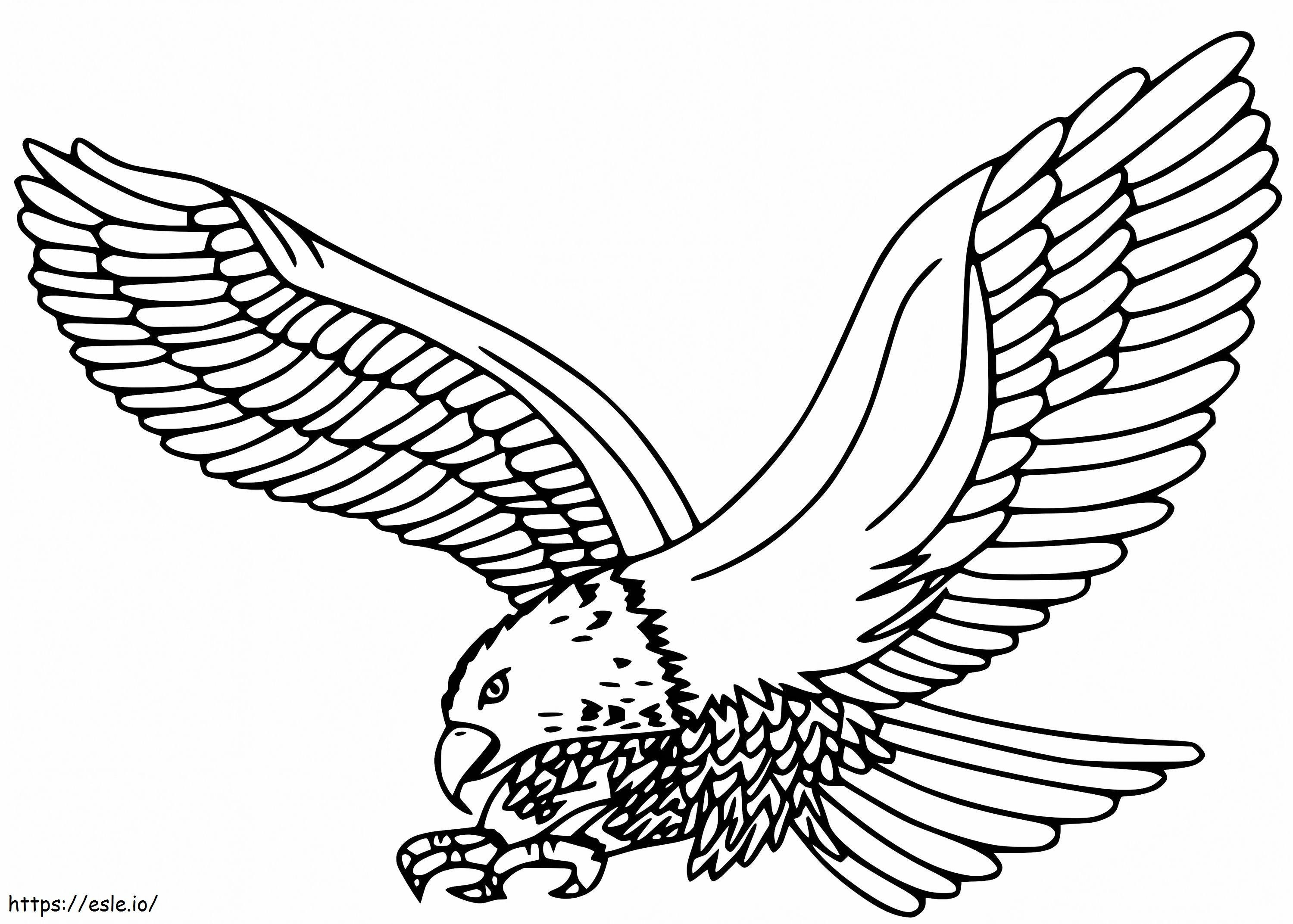 Osprey flying coloring page