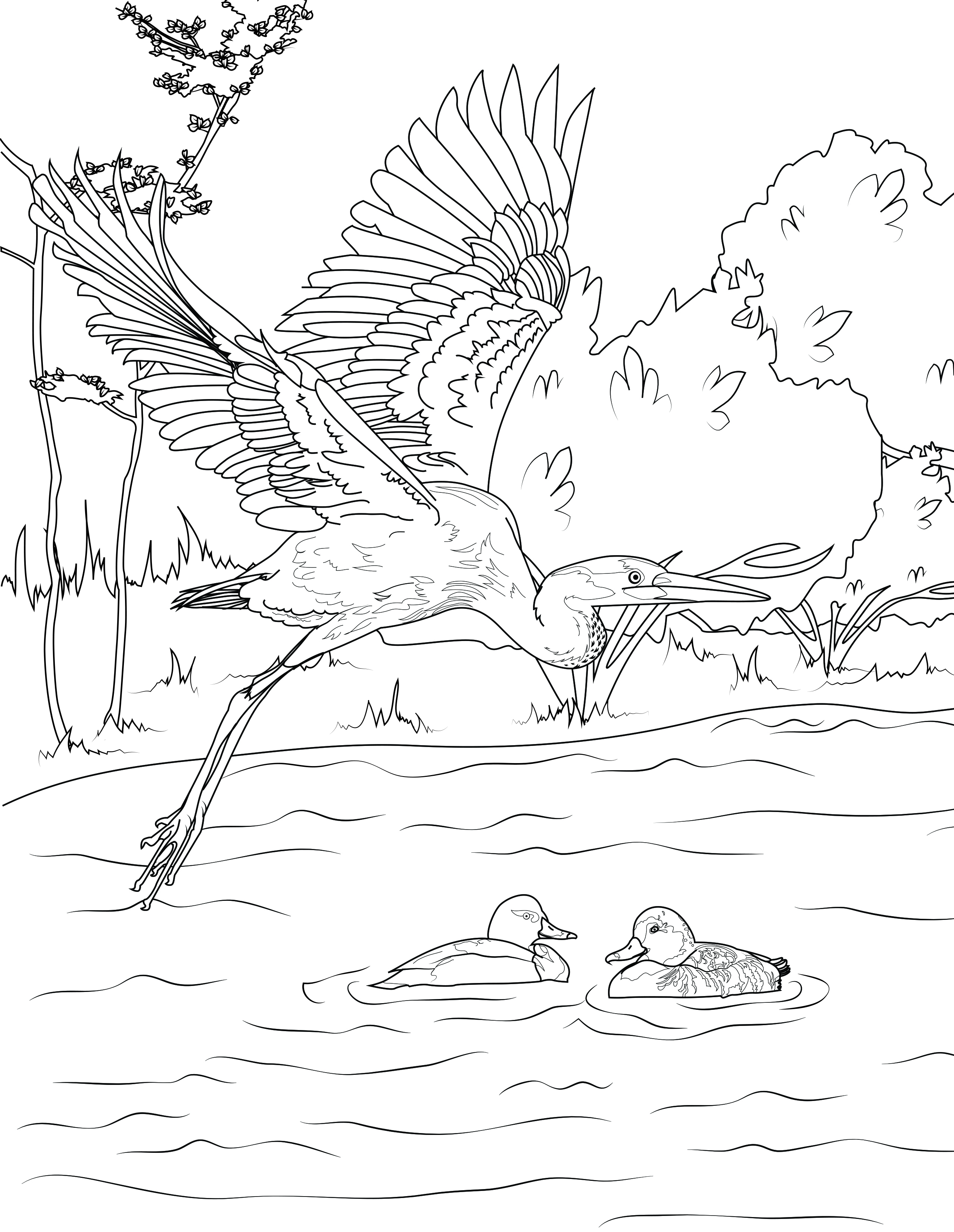 Winged ones coloring pages â frisco native american museum