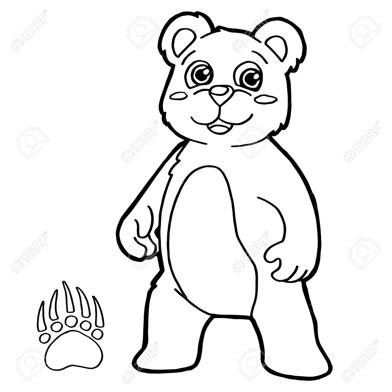 Bear with paw print coloring pages vector royalty free svg cliparts vectors and stock illustration image