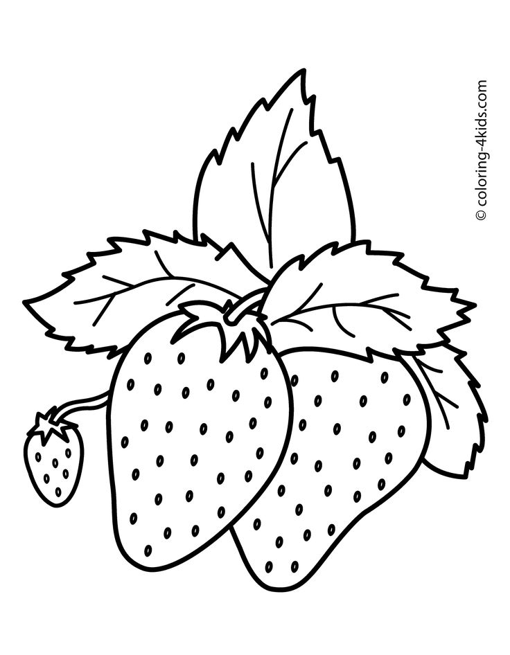 Nice strawberries fruits coloring pages simple for kids printable free fruit coloring pages coloring pages coloring pages for kids
