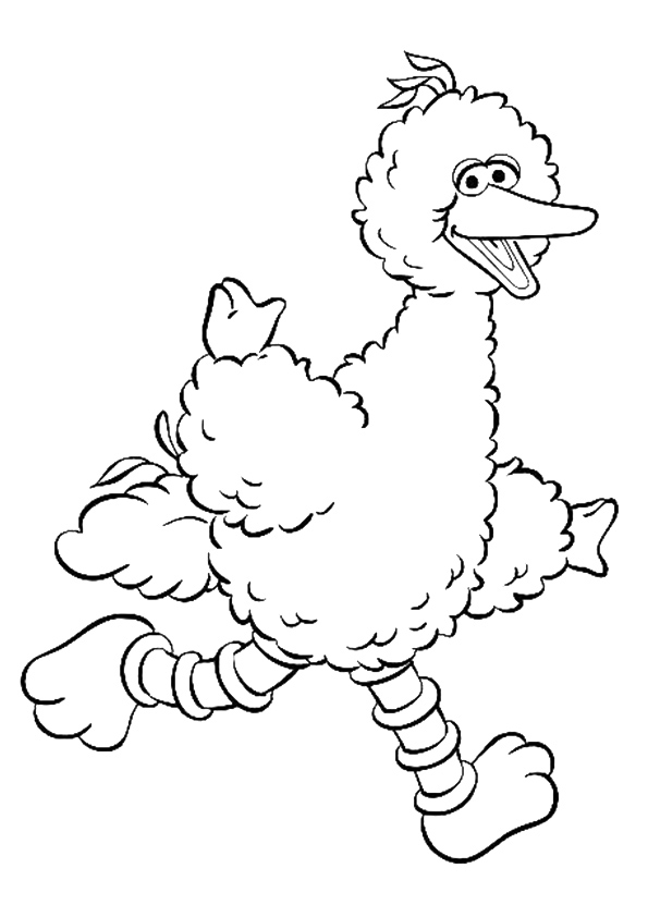 Â