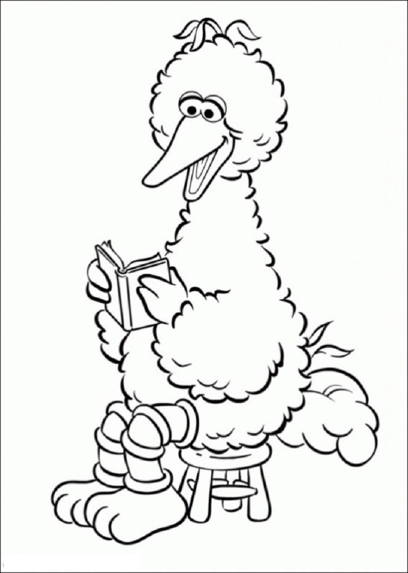 Big bird coloring pages educative printable bird coloring pages coloring pages big bird
