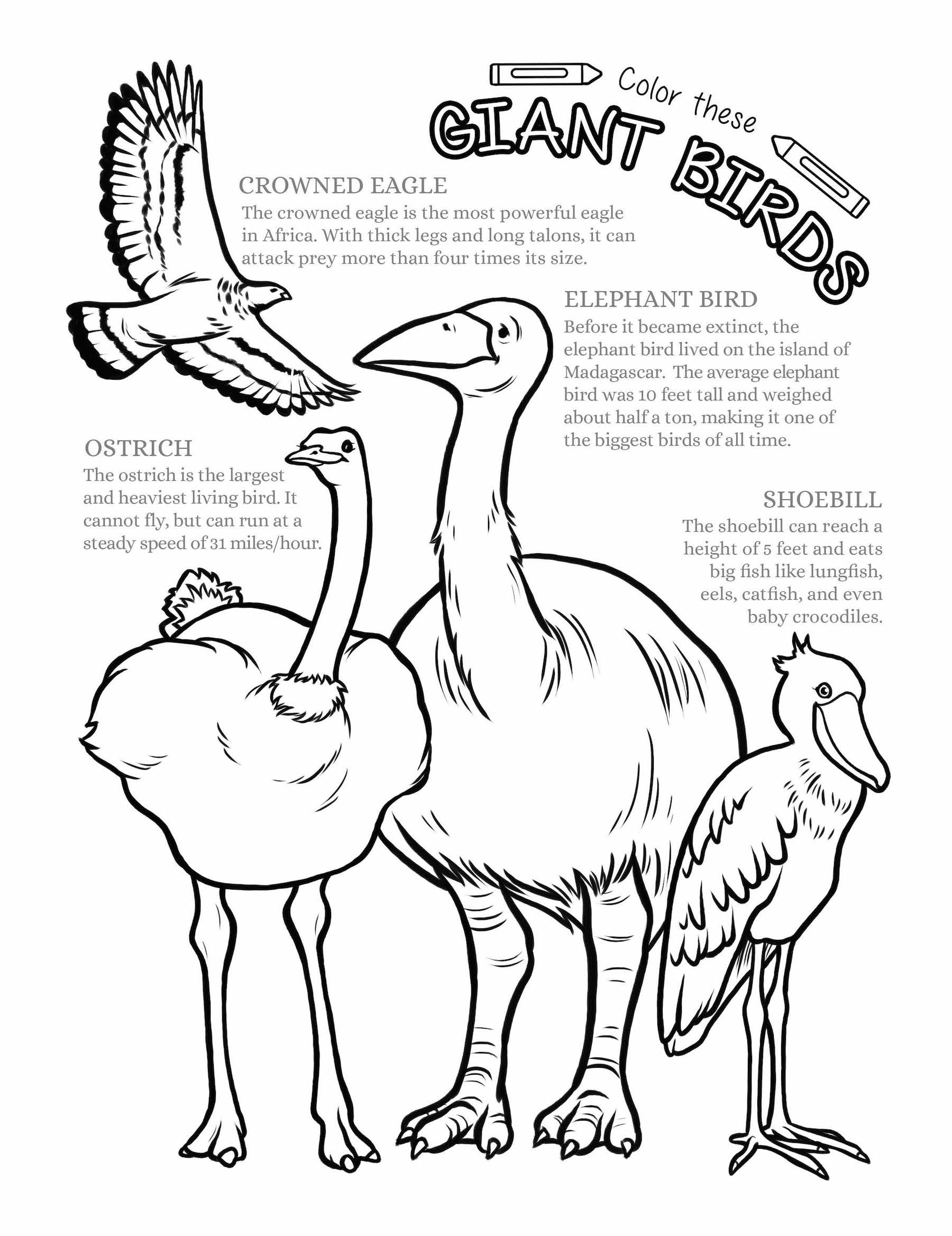 Giant bird coloring page â