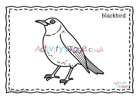 Blackbird louring page