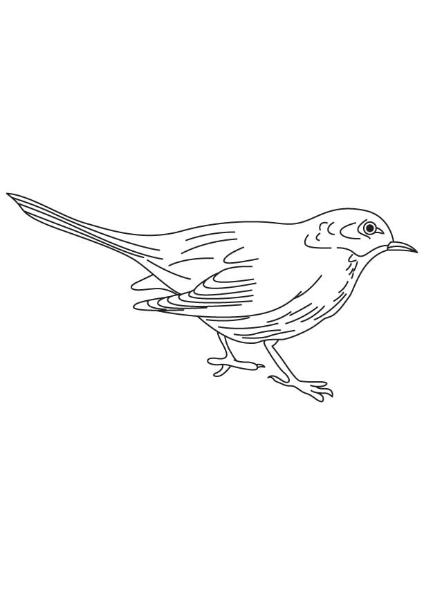 Small blackbird coloring page download free small blackbird coloring page for kids best coloring pages