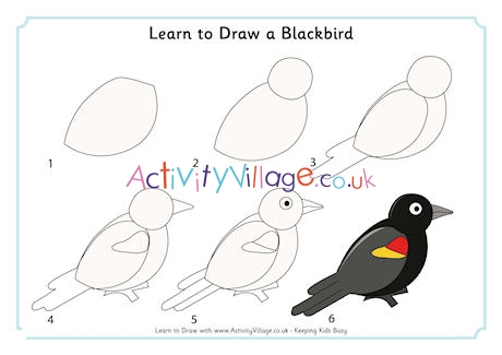 Learn to draw a blackbird