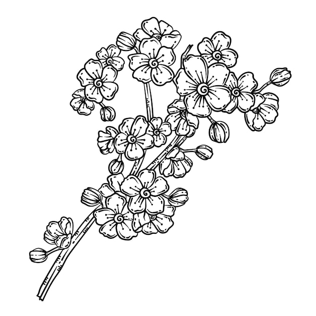 Premium vector cherry blossoms spring coloring page for adults