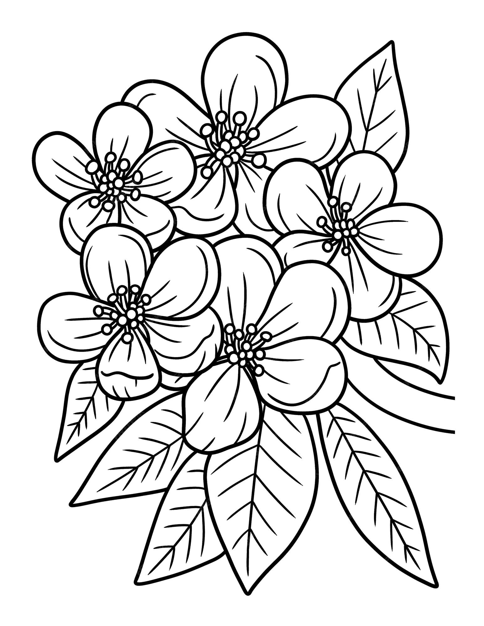 Premium vector apple blossom flower coloring page for adults