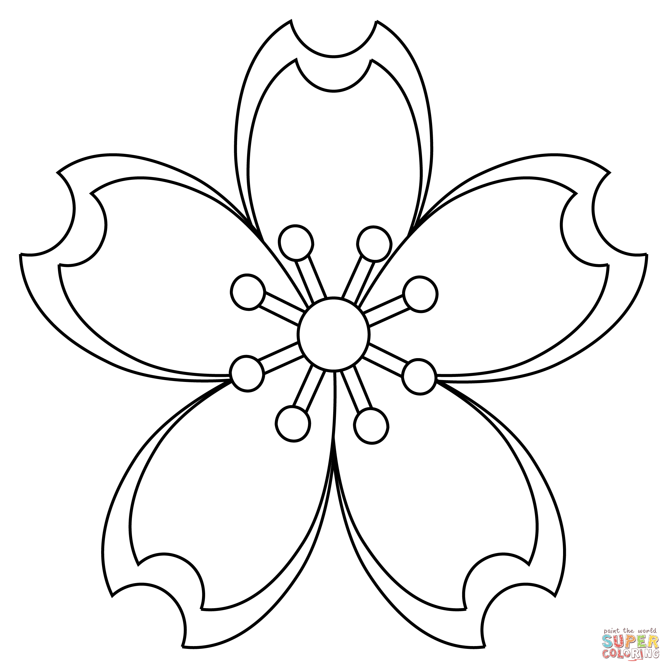 Cherry blossom coloring page free printable coloring pages