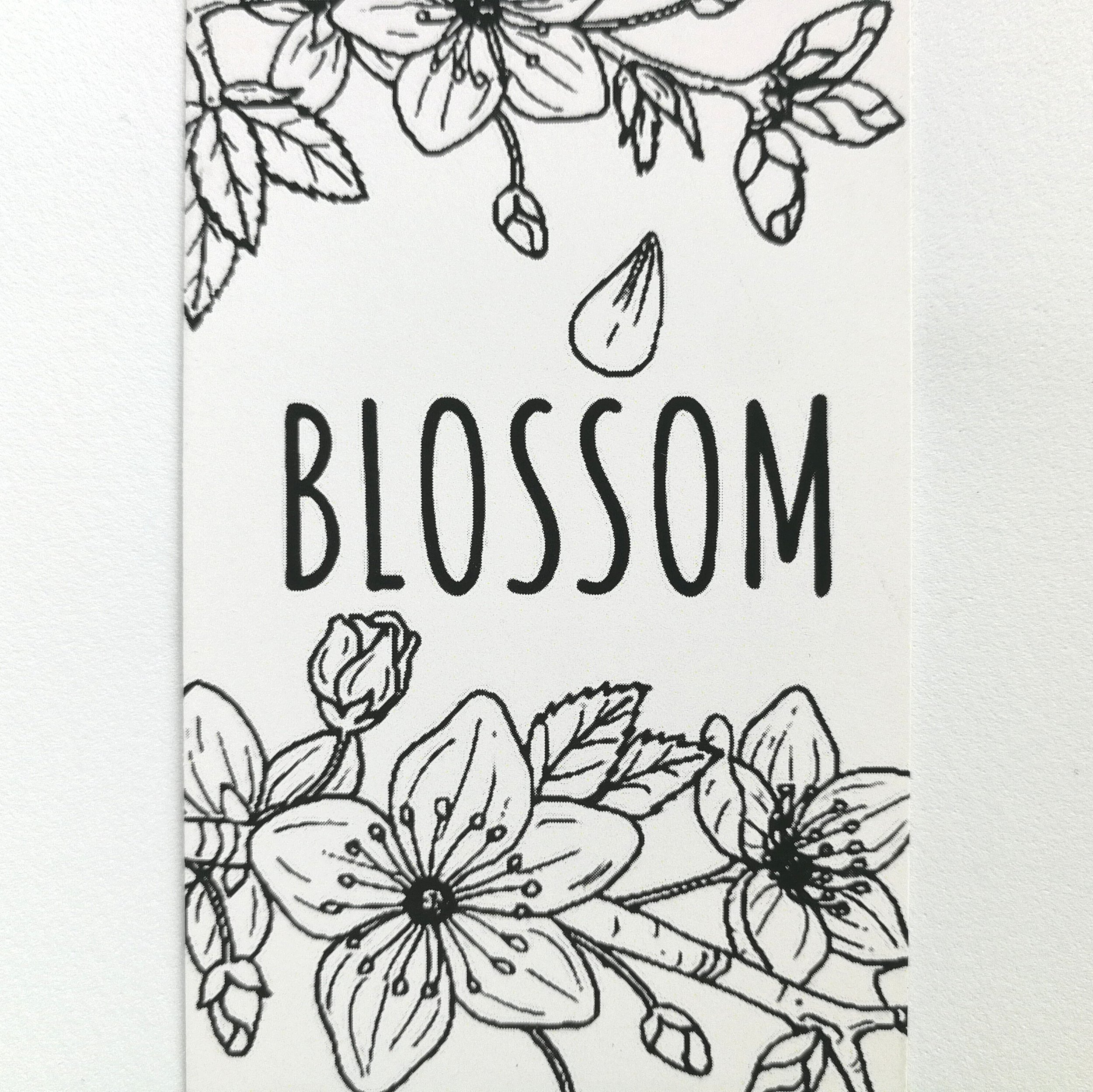 Blossom