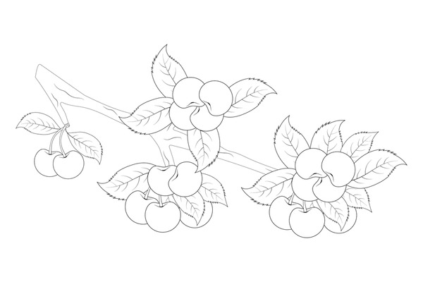 Thousand cherry blossom coloring pages royalty