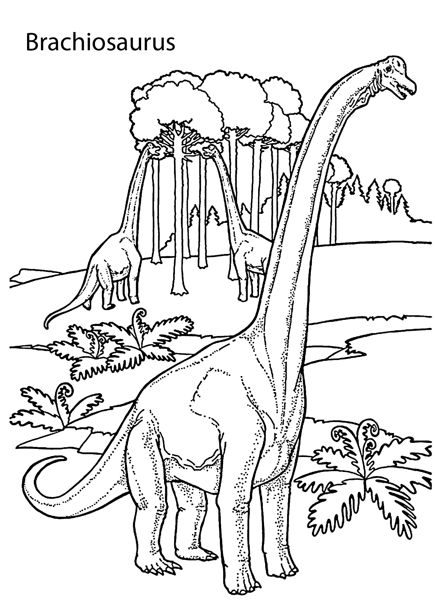 Brachiosaurus realistic dinosaurs coloring pages for kids printable free dinosaur coloring pages dinosaur coloring dinosaur coloring sheets