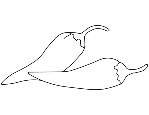 Chilli pepper coloring page free printable coloring pages