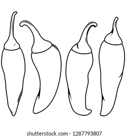 Chili peppers vector black white coloring stock vector royalty free