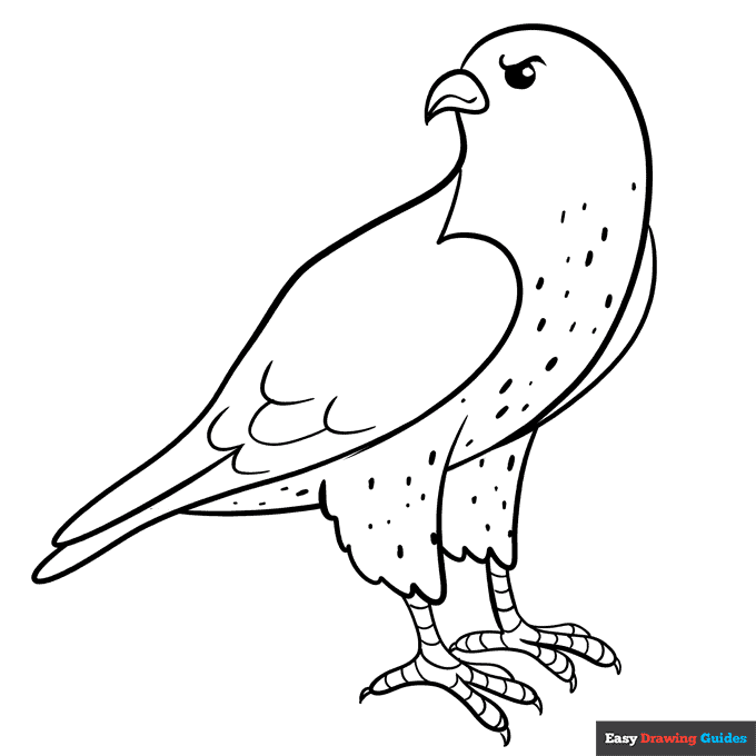 Falcon coloring page easy drawing guides