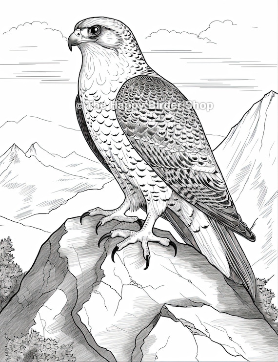 Peregrine falcon coloring page bird lover gift wildlife art printable art stress relief adult coloring pages bird coloring pages jpg