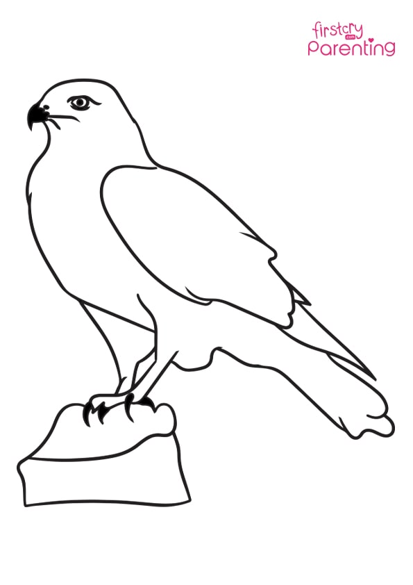 Falcon outline coloring page for kids
