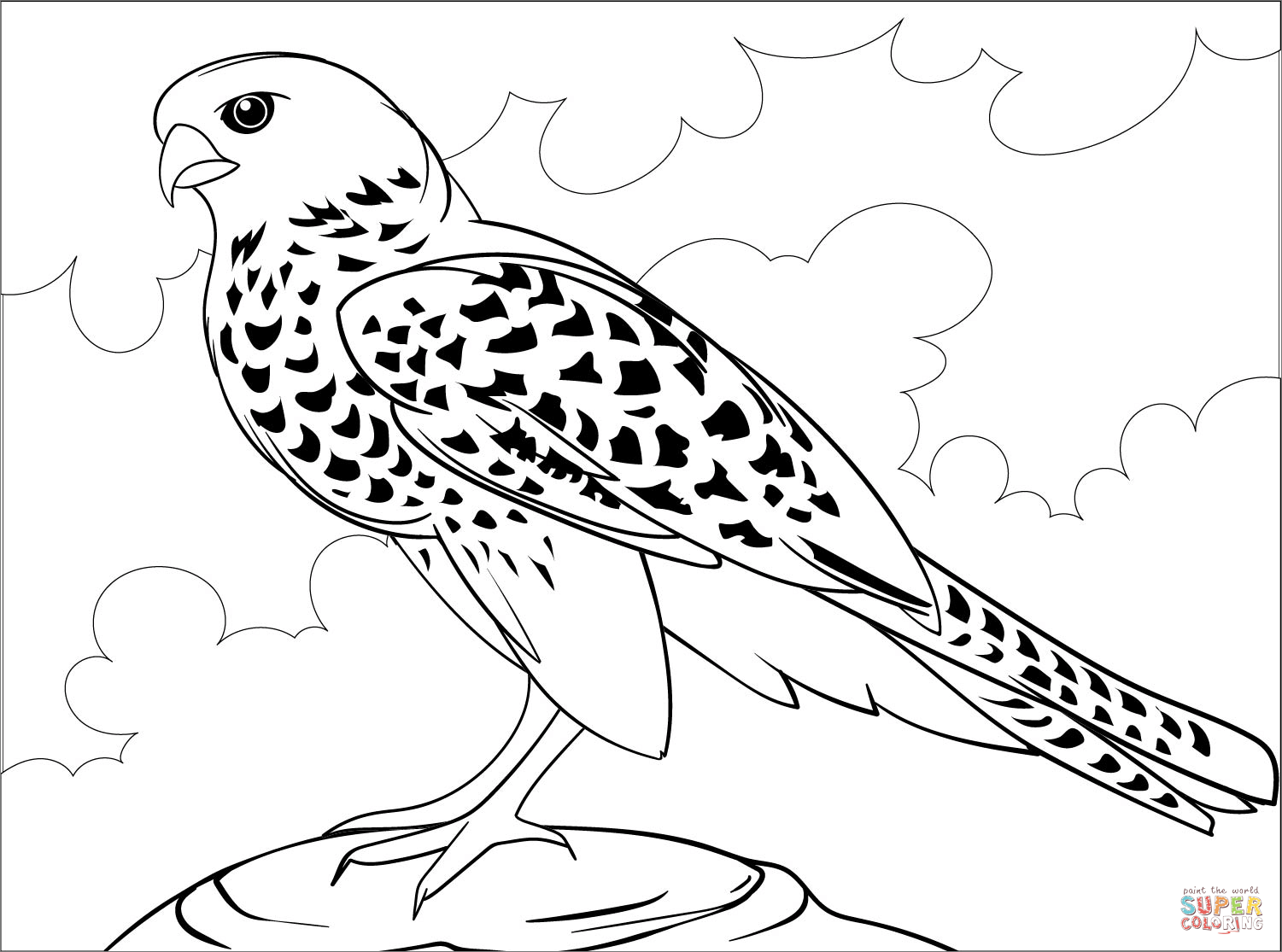Falcon coloring page free printable coloring pages