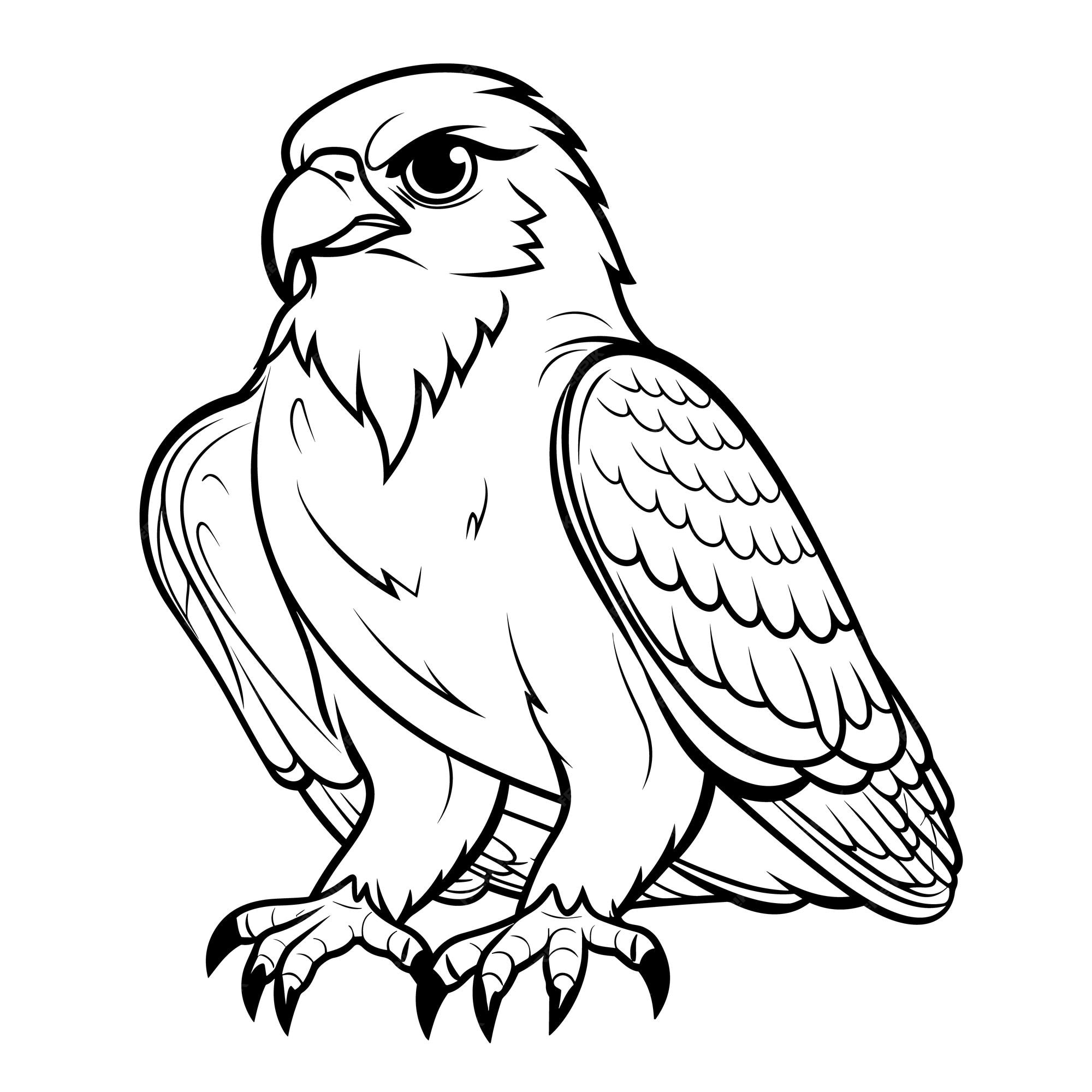 Premium vector falcon coloring pages vector animals
