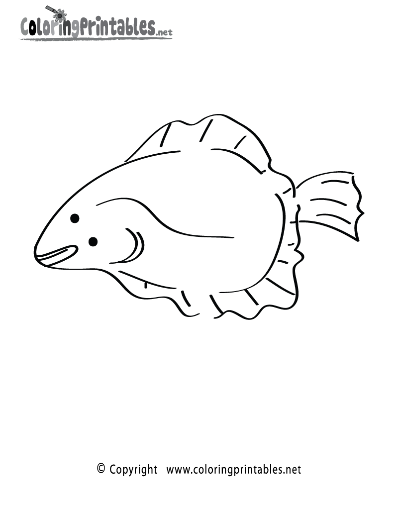 Flounder fish coloring page
