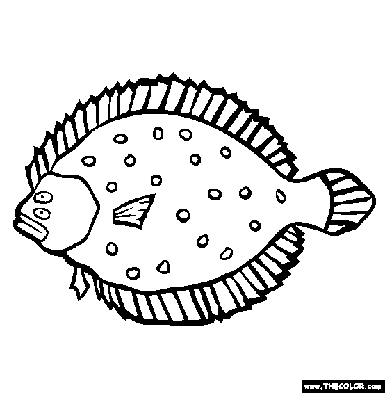 Flounder coloring page free flounder online coloring