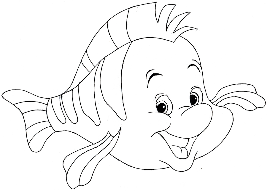 Flounder coloring book art drawings art