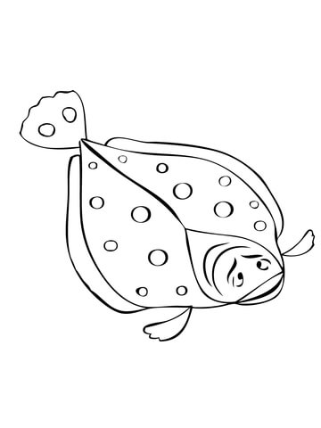 Flounder fish coloring page free printable coloring pages