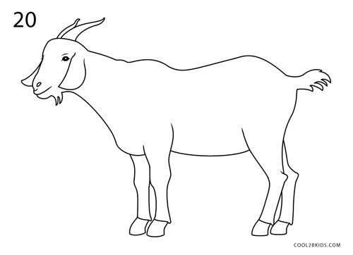 How to draw a goat step by step pictures coolbkids goat picture pictures to draw goats