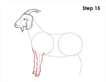 How to draw a goat video step