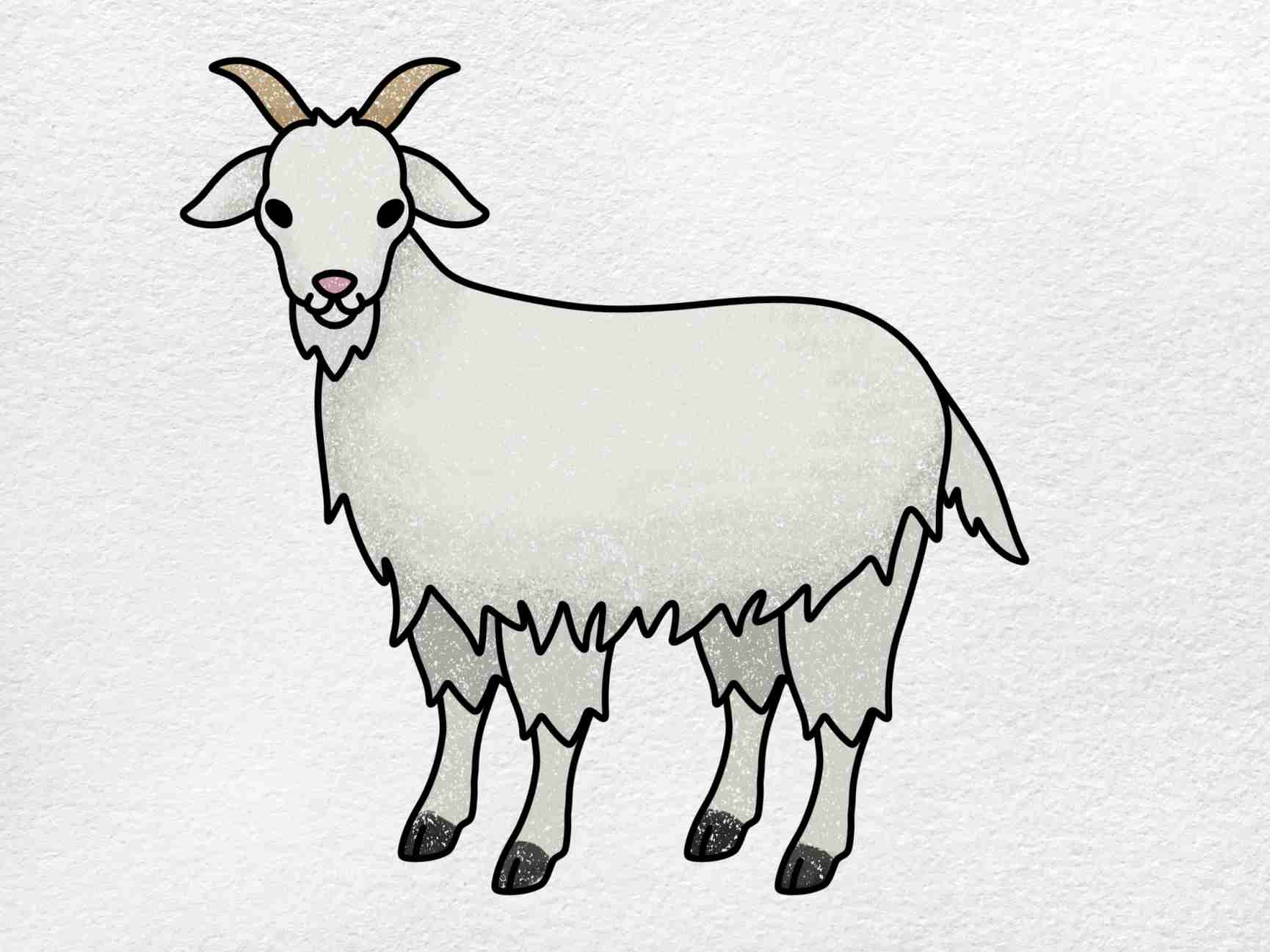 How to draw a goat