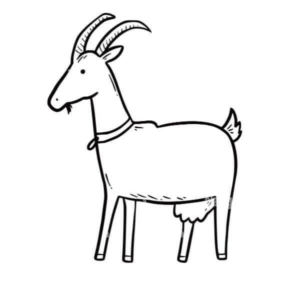 Goat drawg sketches for kids children sketch drawg sketches sketches