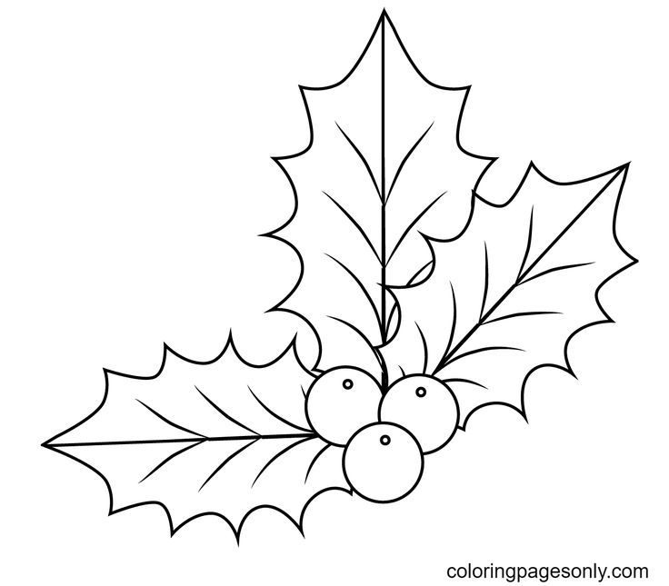 Christmas holly coloring pages