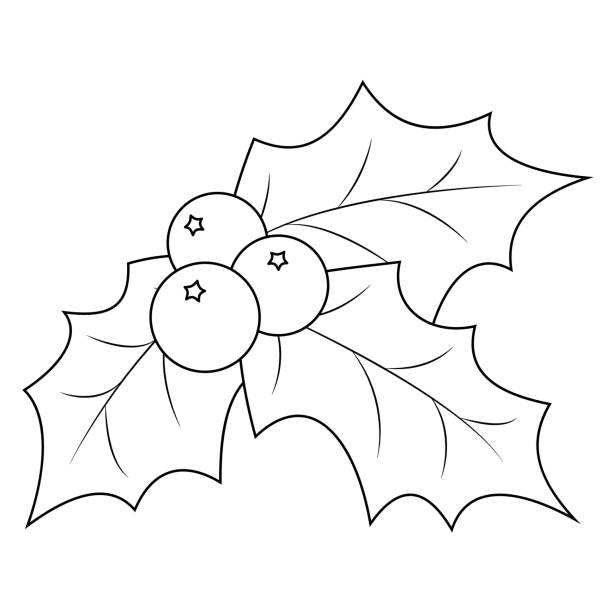 Coloring book page christmas holly berry leaves vector illustration on a white background stock illustration
