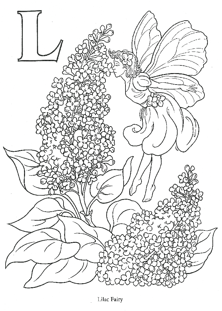 Lilac coloring pages