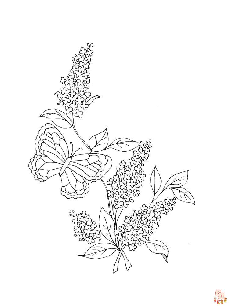 Enjoy the beauty of lilac with free printable lilac coloring pages