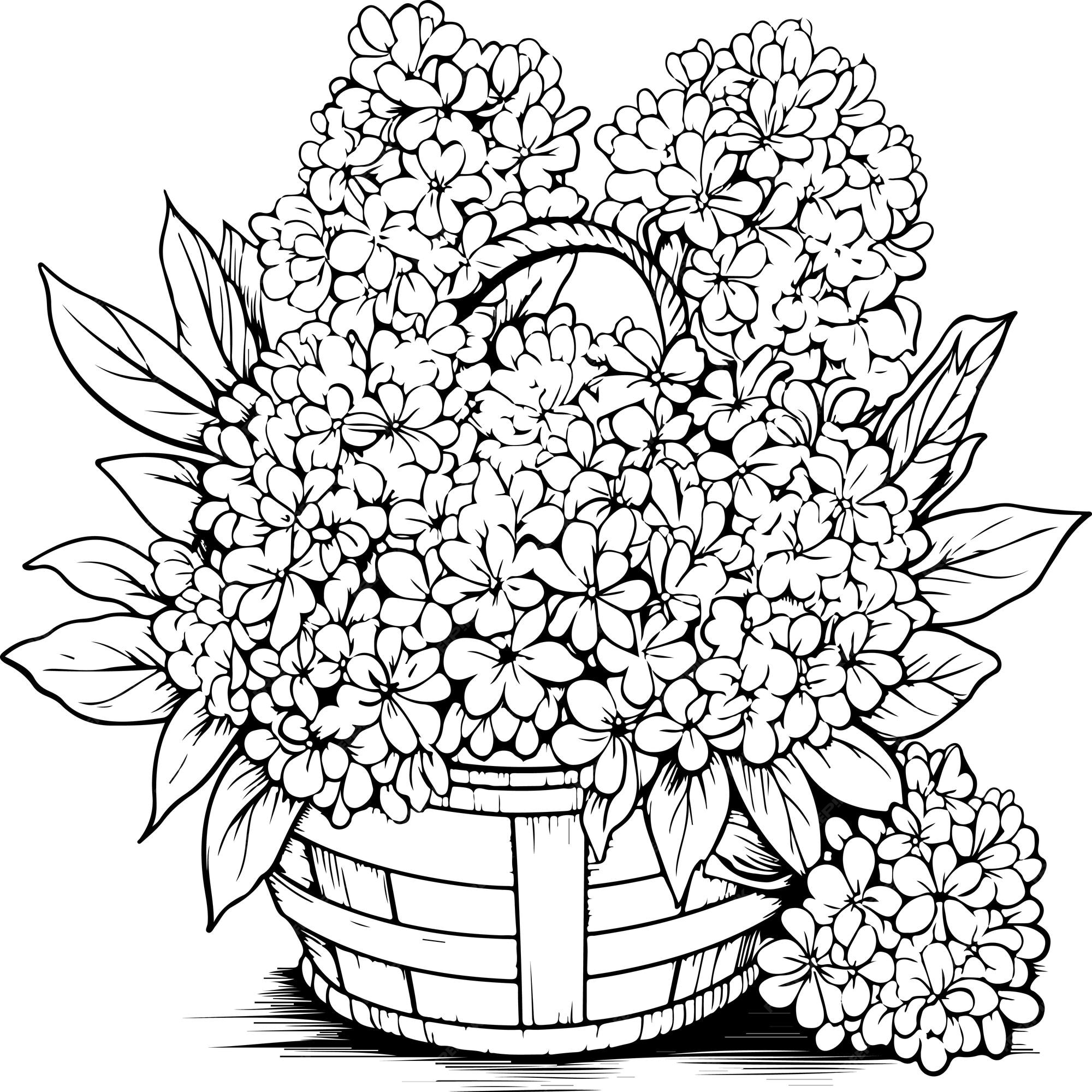Premium vector coloring page depicting lilac flowers