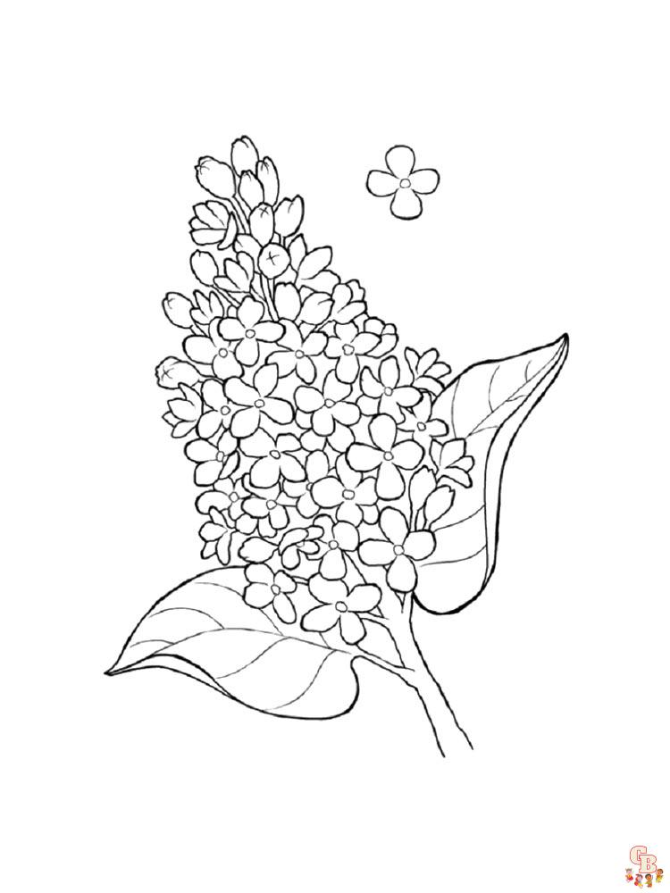 Enjoy the beauty of lilac with free printable lilac coloring pages