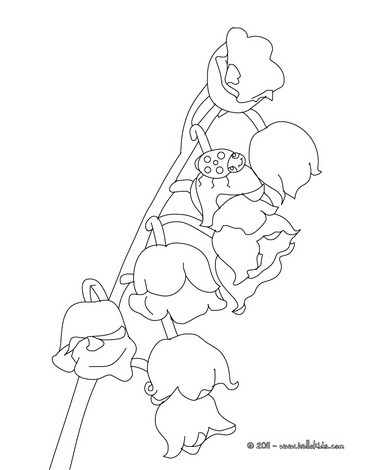 Lily of the valley and lady bird coloring pages