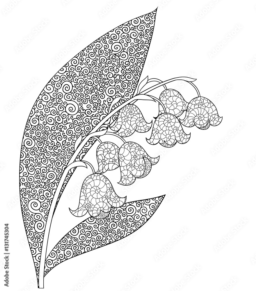 Lily of the valley with leaves spring flower doodle page for coloring book vector