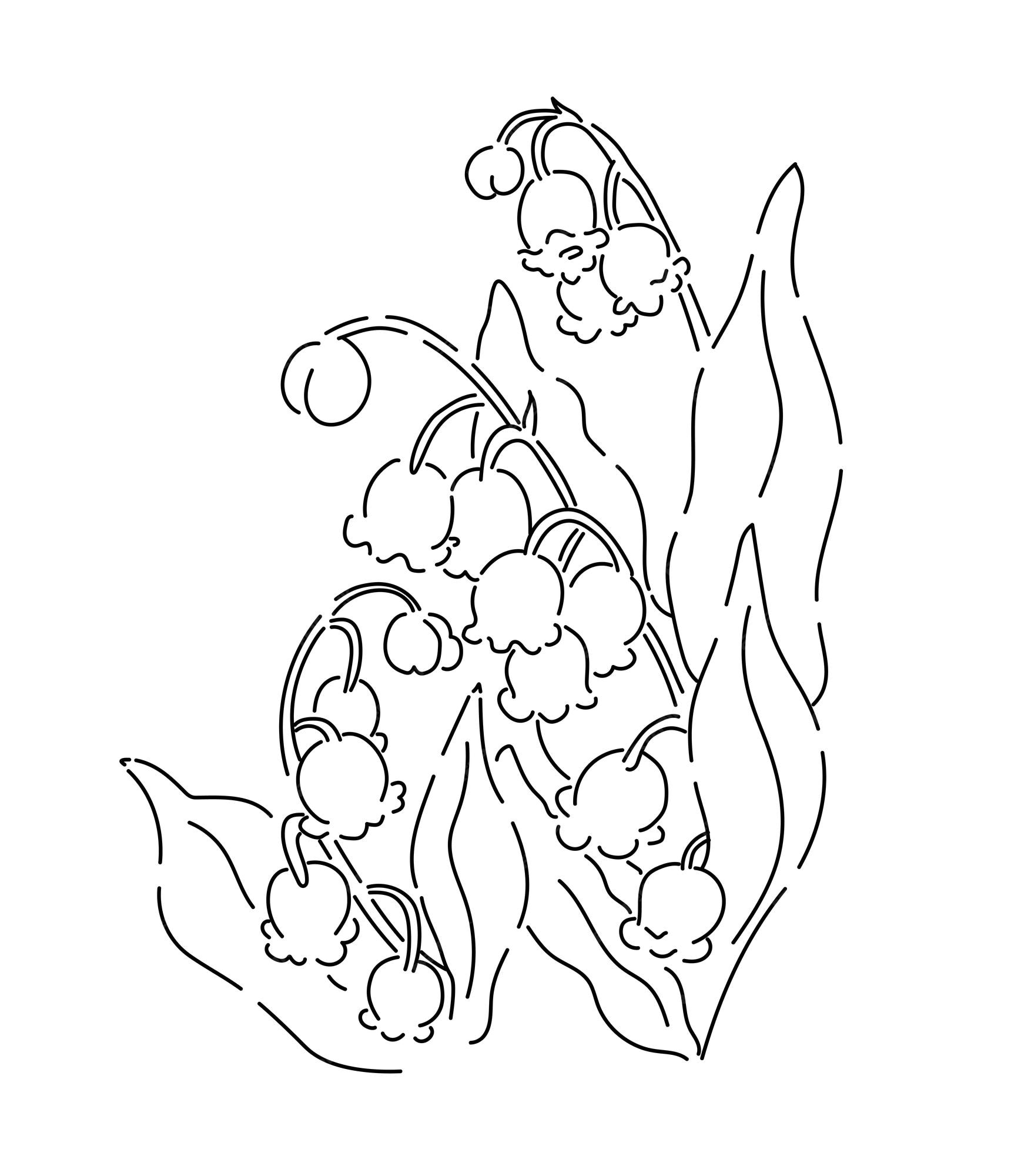 Premium vector hand drawn lily of the valley flower line art